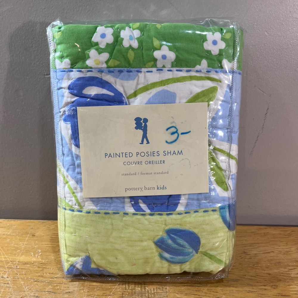 Pottery Barn Kids Painted Posies Sham Standard Blue Green Floral Quilted NEW